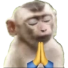 Macaquinhos memes  16 🙏