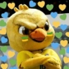é o Brasil do Brasil 🇧🇷 24