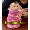 Chico meme  7
