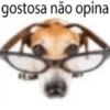 Não sei se comento  13