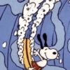 Snoopy  30