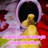 Reações + patinhos 🦆 15