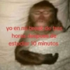 Animalitos Random🪴🐾 26