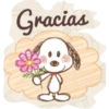 Gracias