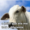 o jeito que ela me trai é diferente