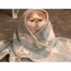 Gatitos tiernos ;) 10