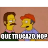 Los Simpson 15
