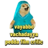 vayabbo vachadayya pedda film critic