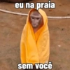 🐒 Macaco Direto e Sincero 27