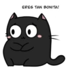 Gatito Inestable 12