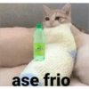 Limol Invierno 2023 11