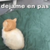 dejame dejame en pas
