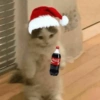 AS NOVAS DE NATAL 7