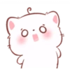 Kucing gemoy 12