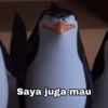 Meme Penguin (2) 8