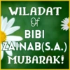Wiladat of Bibi Zainab 6