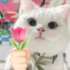 ❤️ Buenos días Amor 🥰Bza 14