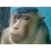 Monkys 3000 🐒 11