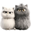 GATITOS REACCION 8