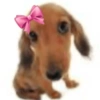 Реакции любви 🥰 10