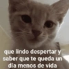 🙉Frases variadas🙉 9