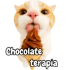 Frases de gatito#1 💬🐱 9
