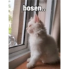 Yukki - kucing tengil pt.1 24