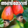 Hptvm 14