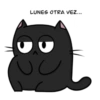Gatito Inestable 21