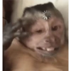 MOnKey reaCtioNs 🐵😝🧃 28