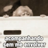 🐒 Macaco Direto e Sincero 7