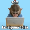 🐒 Macaco Direto e Sincero 8