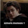 Harry Potter Indonesia 22