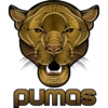 Pumas UNAM 17