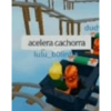 Roblox 20