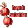 Günaydın 3 17