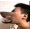 Momos 12