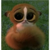 Animalitos 2 21