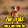 Vem, fala novamente
