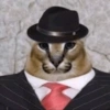 Gato shitpost 20