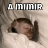 A MIMIR