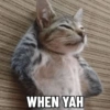 WHEN YAH