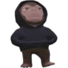 Meme Monyet Roblox Wutwut 11