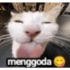 Kucing sigma 5