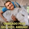 Memes Zoando Bolsonaro 13