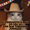 EU PERGUNTEI A DEUS DO Ceu Al POR QUE TAMANHA JUDIAÇÃO