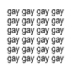 gay gay gay gay gay gay gay gay gay gay gay gay gay gay gay gay gay gay gay gay gay gay gay gay