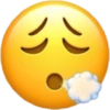 Emoji iphone 5