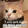 Tamo pero aveces me dejas en visto