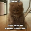 DIAM !!! @nnn AKU SEDANG ANGWY SAMA KM.